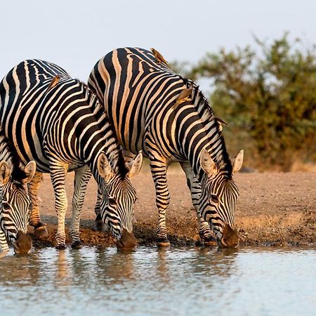 Вилла The View Kariba Экстерьер фото
