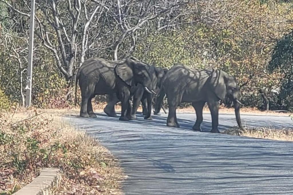 Вилла The View Kariba Экстерьер фото