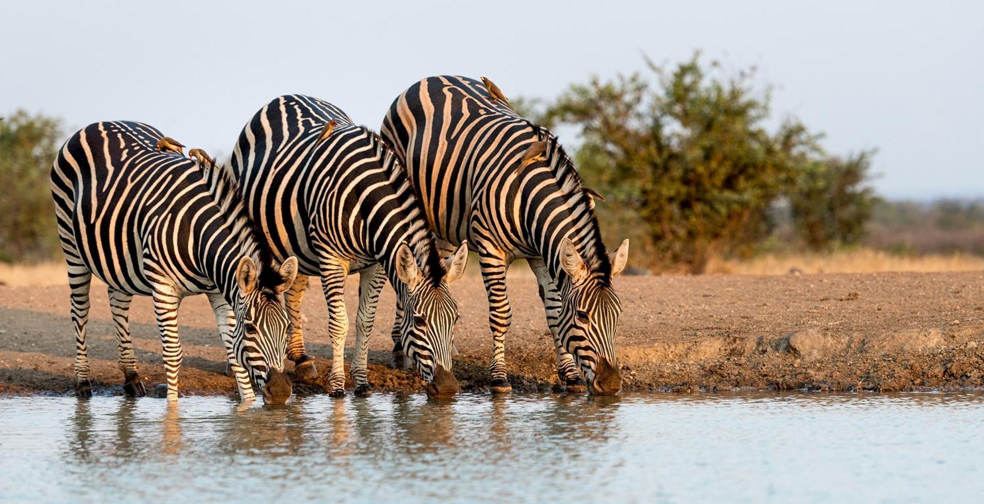 Вилла The View Kariba Экстерьер фото